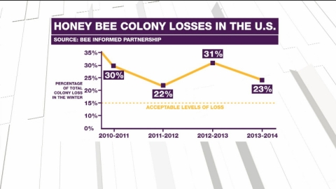 Honey bee colony losses in the U.S.